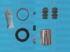 AUTOFREN SEINSA D42184C Repair Kit, brake caliper